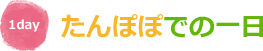 たんぽぽでの一日